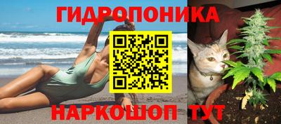 прущие грибы Долгопрудный