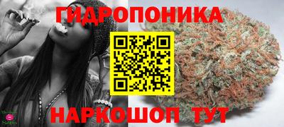 индика Добрянка