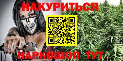 прущие грибы Долгопрудный