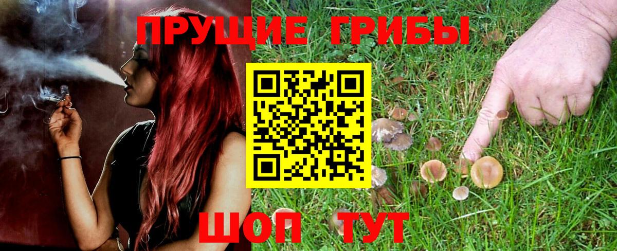 Псилоцибиновые грибы MAGIC MUSHROOMS Бердск
