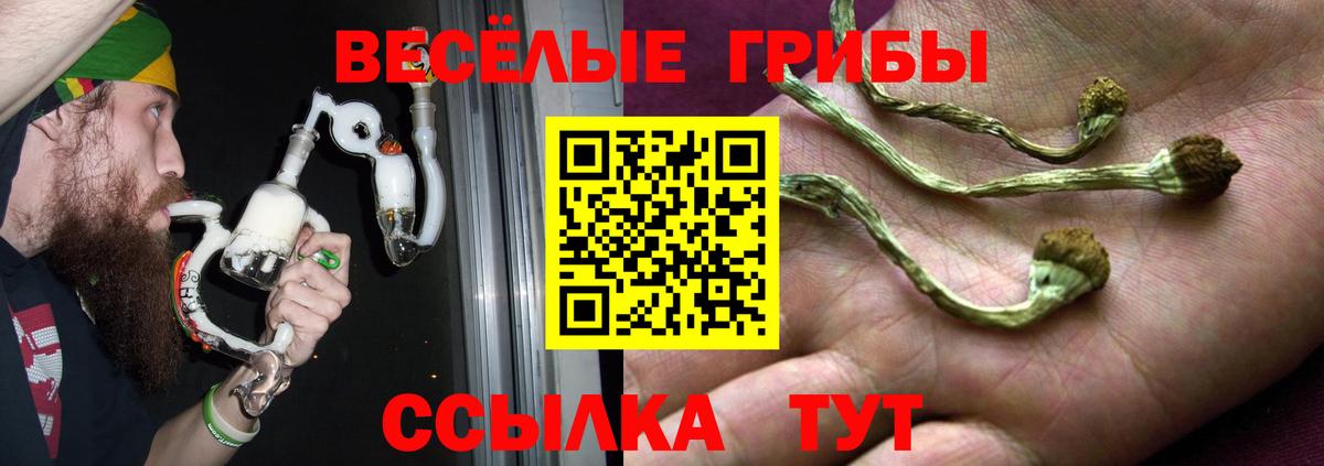 Галлюциногенные грибы прущие грибы  Вход с VPN  где найти   Бердск 